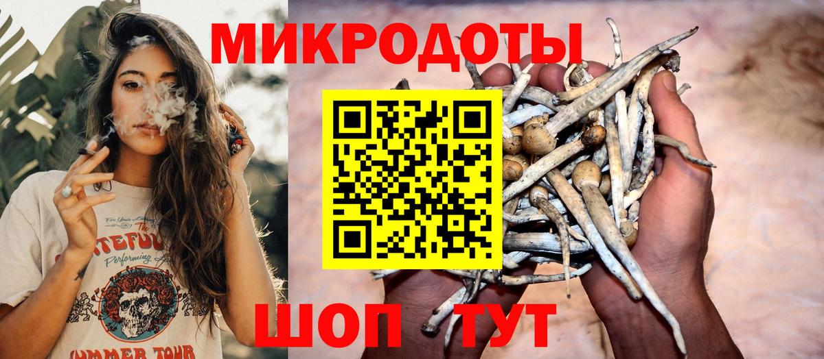 Галлюциногенные грибы мицелий Симферополь