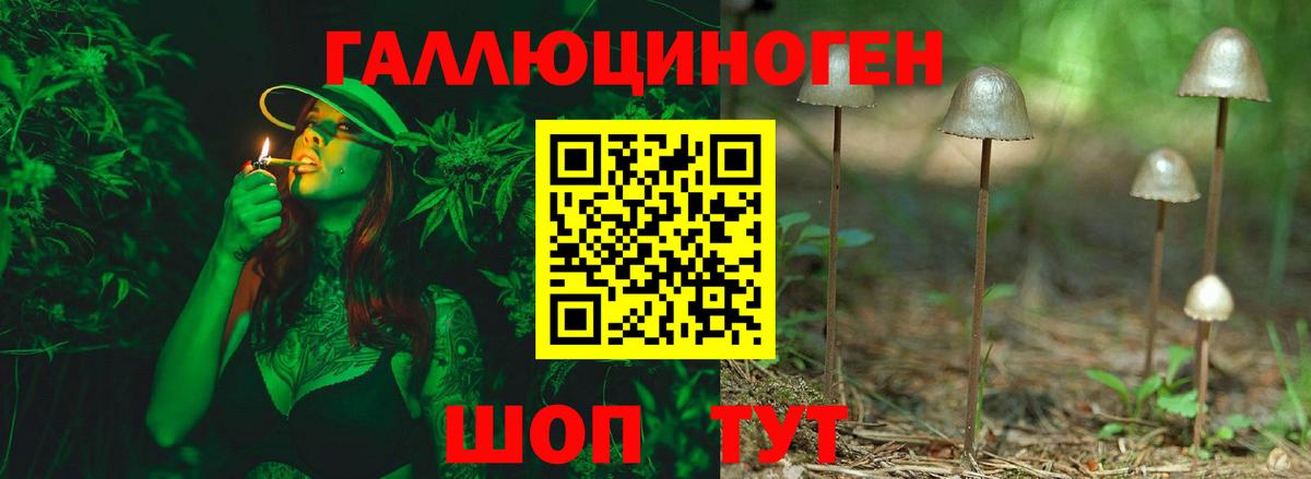 Симферополь  Псилоцибиновые грибы Psilocybine cubensis  Вход с VPN 